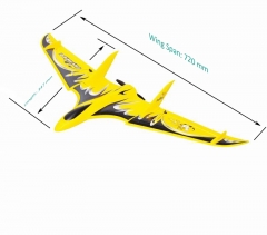 Cool Mini RTF RC Flying Delta Wing for Sale Inv Ader 6104